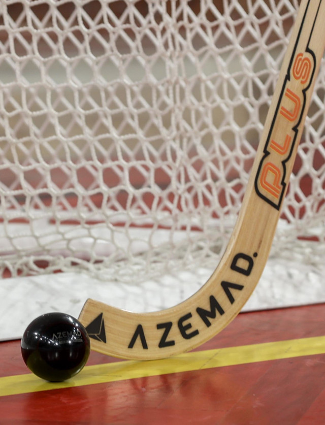 H&#243;quei em patins