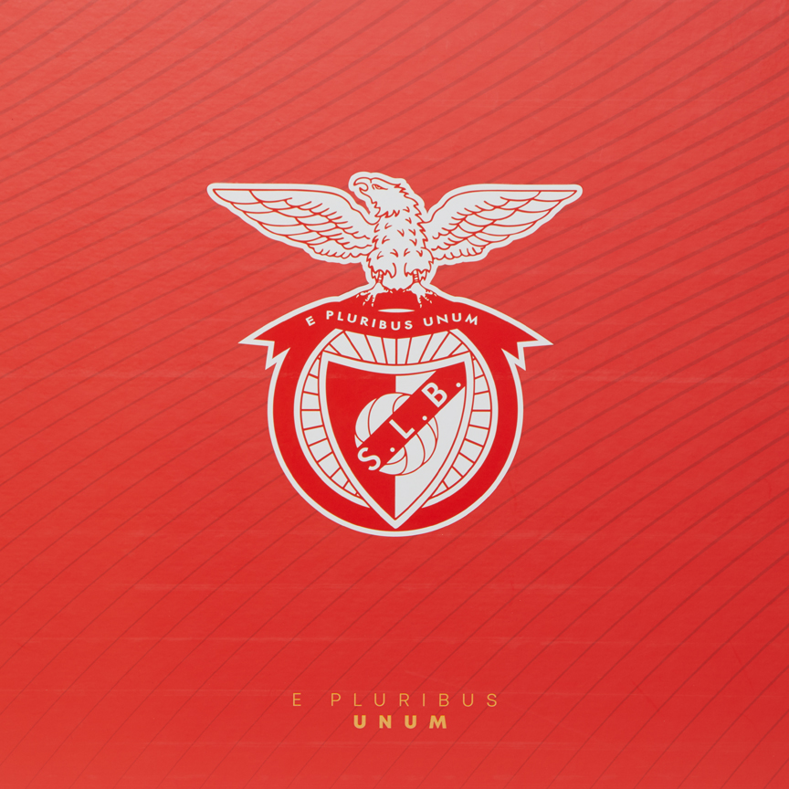 Boìte pour Maillots E Pluribus Unum 1904 Embléme SL Benfica